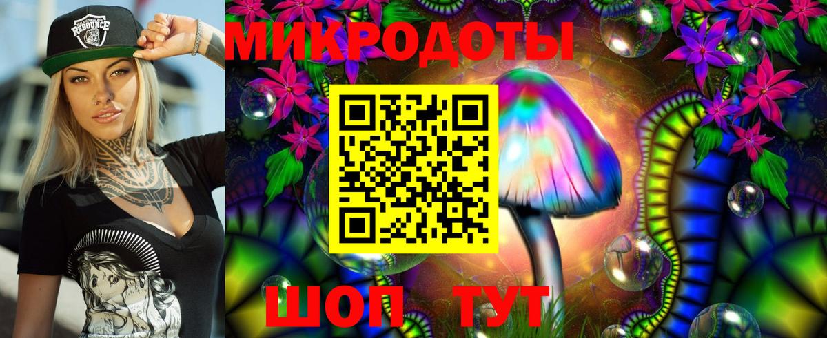 Галлюциногенные грибы прущие грибы Лениногорск
